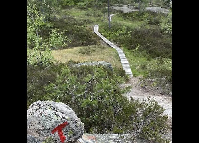 Leilighet Pa Gautefall Drangedal
